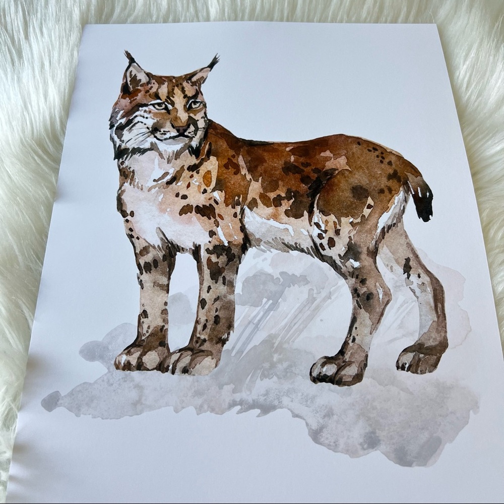 Wall Art Watercolor Lynx Bobcat Illustration Print Poster Unframed - Picture 15 of 17